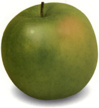 Bild von Granny Smith Apfel